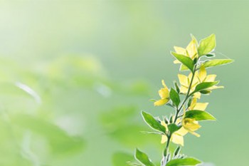 好醫(yī)保第二年怎么保費不一樣