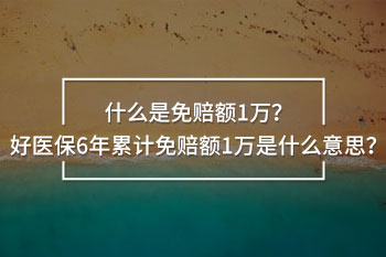 6年累計(jì)免賠額1萬(wàn)是什么意思