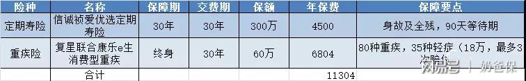 消費型重疾險+高額定期壽險