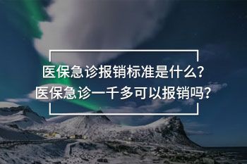 急診一千多可以報銷嗎