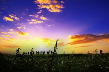華泰保險(xiǎn)百萬醫(yī)療條款g