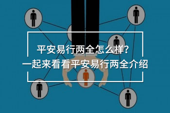 平安易行兩全介紹