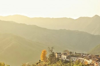 海峽愛相隨和亞太意外,小蜜蜂對(duì)比