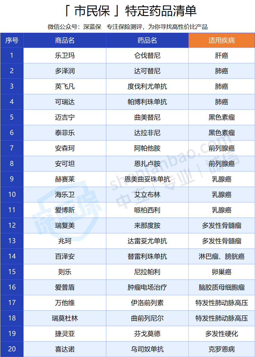 市民保