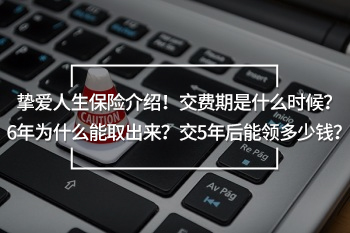 摯愛人生保險