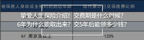 摯愛人生保險