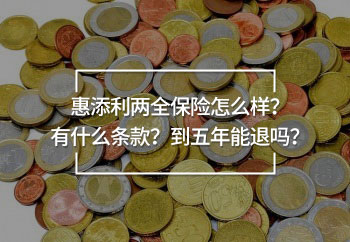 惠添利兩全保險