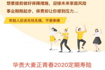 大麥正青春2020定期壽險有哪些優(yōu)缺點