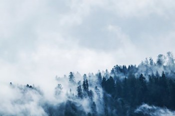 華夏常青樹重疾險(xiǎn)怎么樣