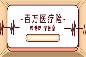 哪個公司的百萬醫(yī)療險好