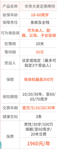 華貴大麥定期壽險多少錢