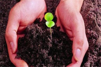 百年定惠保定期壽險案例介紹