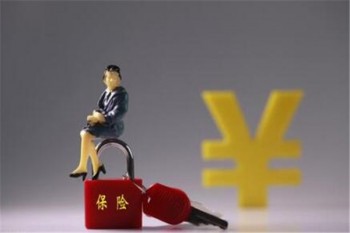 中荷簡愛定期壽險有哪些優(yōu)缺點