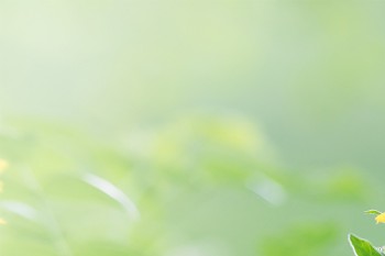 人壽的百萬(wàn)醫(yī)療險(xiǎn)可以單獨(dú)購(gòu)買(mǎi)嗎