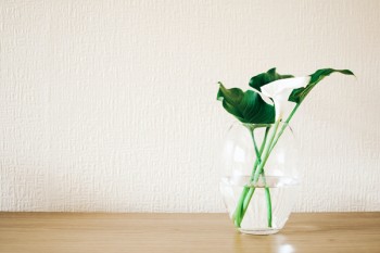 重疾險(xiǎn)是消費(fèi)險(xiǎn)嗎