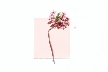 性價(jià)比最高重疾險(xiǎn)