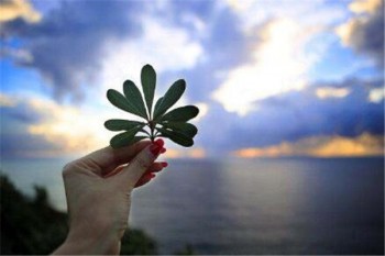 重疾險買多少保額合適