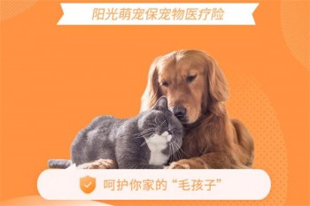 陽(yáng)光萌寵保寵物醫(yī)療險(xiǎn)