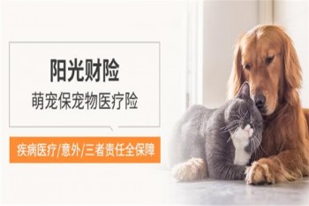 陽(yáng)光萌寵保寵物醫(yī)療險(xiǎn)怎么樣