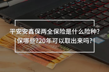 平安安鑫保