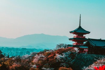 48歲重疾險