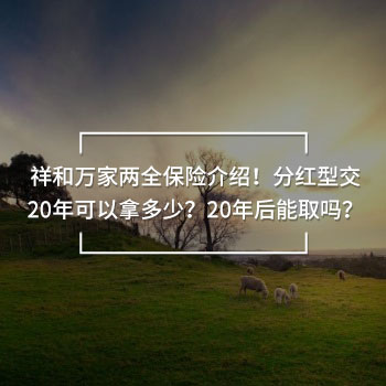 祥和萬(wàn)家兩全保險(xiǎn)