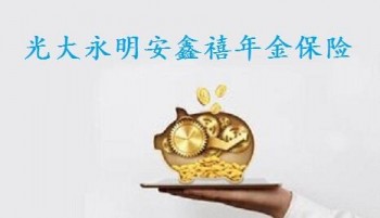 安鑫禧