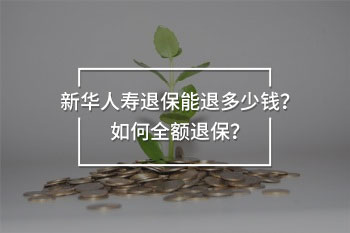 新華人壽退保能退多少錢？如何全額退保