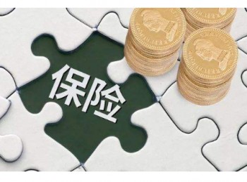 愛(ài)心人壽的重疾險(xiǎn)
