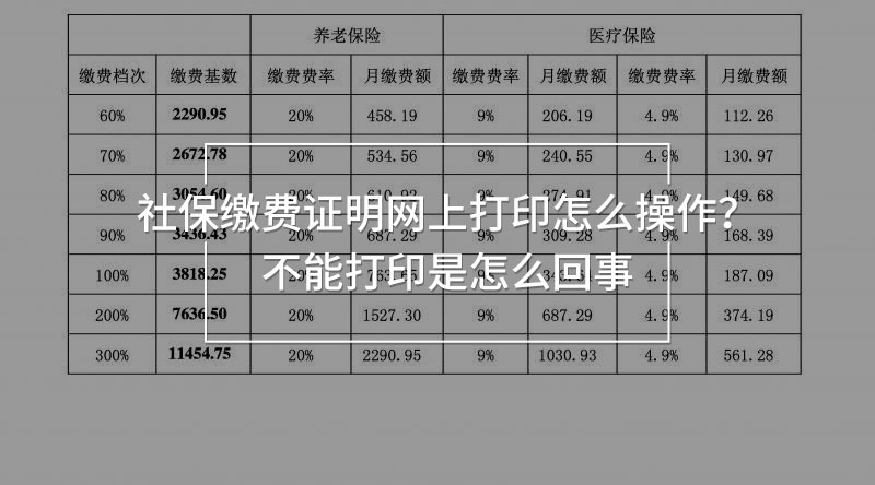 社保繳費證明網(wǎng)上打印
