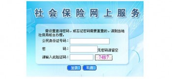 社?？ㄔ鯓硬樵儌€人余額？網(wǎng)上怎么查社保卡余額