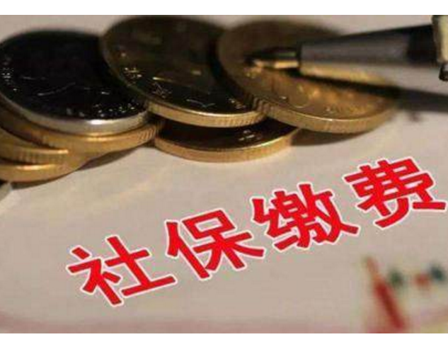 社保繳費(fèi)明細(xì)在哪里查詢