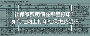社保繳費(fèi)明細(xì)在哪里打?。咳绾卧诰W(wǎng)上打印社保繳費(fèi)明細(xì)