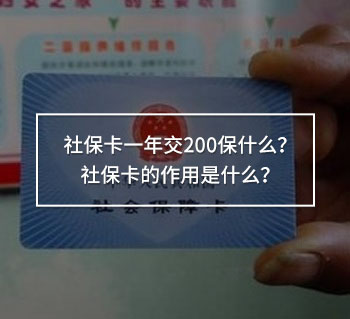 社保卡一年交200保什么