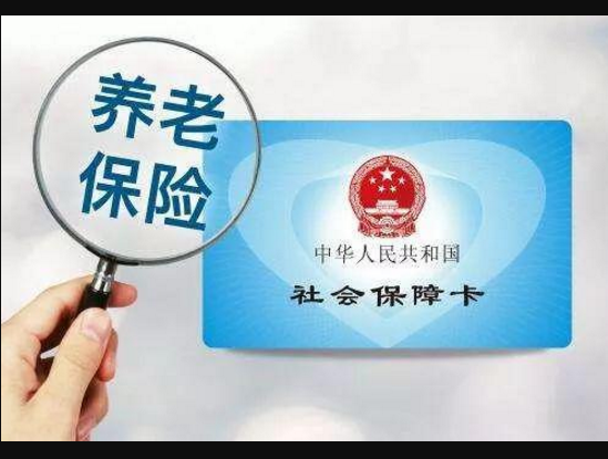 社保法實施細則