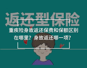 重疾險身故返還保費和保額區(qū)別在哪里