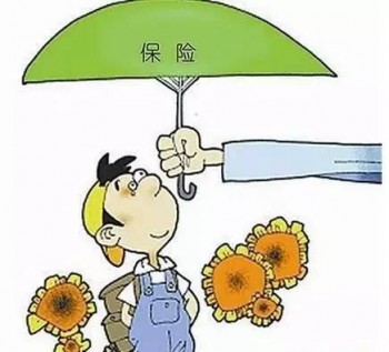 慧馨安少兒重疾險(xiǎn)你了解多少