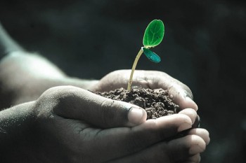 重疾險投保前告知什么