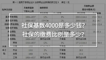 社?；鶖?shù)4000是多少錢(qián)？社保的繳費(fèi)比例是多少？
