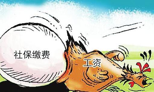 社保斷交有什么影響？社會(huì)保險(xiǎn)與商業(yè)保險(xiǎn)有什么區(qū)別？