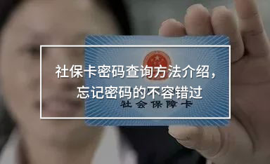 社?？艽a查詢