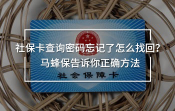 社?？ú樵兠艽a忘記了怎么找回？馬蜂保告訴你正確方法