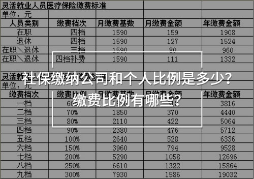 社保繳納公司和個人比例是多少？繳費(fèi)比例有哪些？