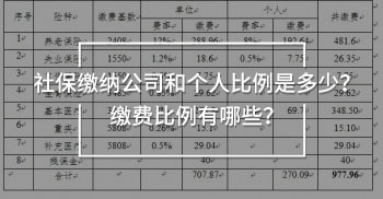社保繳納公司和個人比例是多少？繳費比例有哪些？