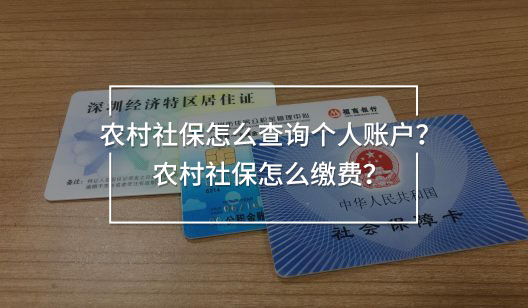農(nóng)村社保怎么查詢個(gè)人賬戶？農(nóng)村社保怎么繳費(fèi)？