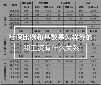 社保比例和基數(shù)