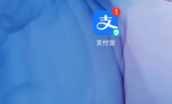 社保號(hào)怎么查