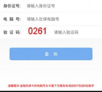 社保繳納查詢情況查詢怎么操作？怎么選擇社保代繳公司？