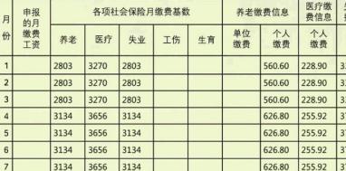 社保繳納查詢情況查詢怎么操作？怎么選擇社保代繳公司？