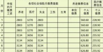 社保繳納記錄去哪里查？繳納社保有什么好處？